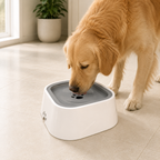 Golden retriever drinking from a cream and grey no-spill bowl