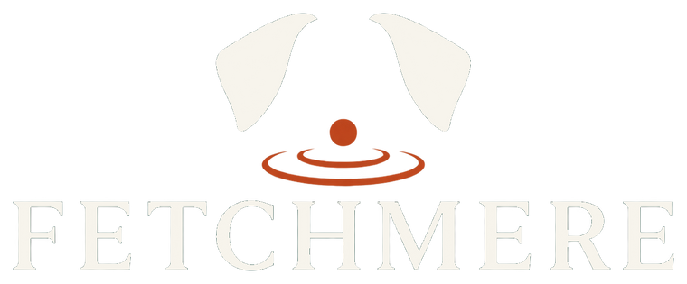 Fetchmere logo for dark footer