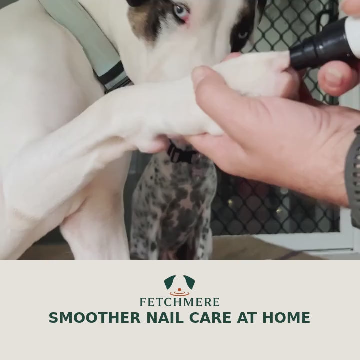 Fetchmere dog nail grinder in use
