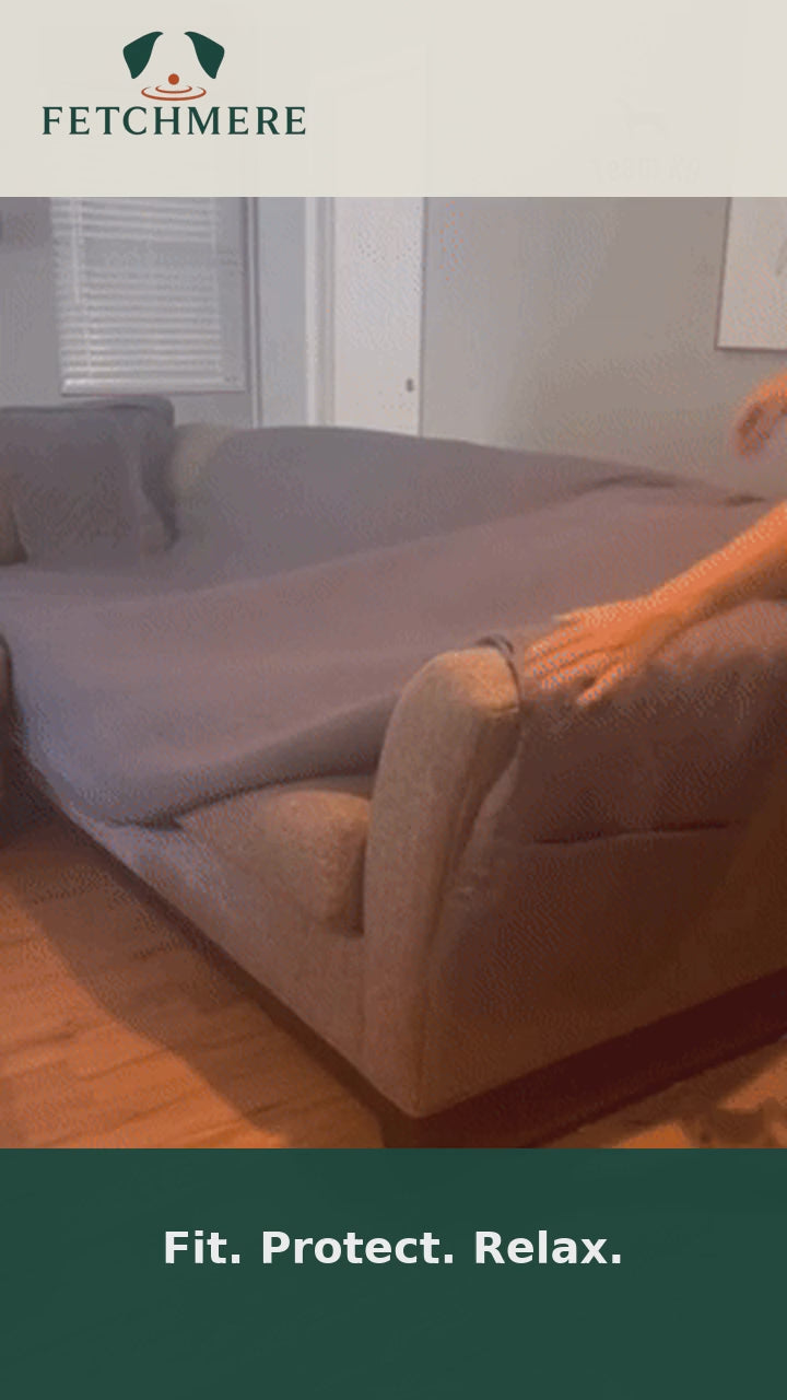 Fetchmere sofa cover being fitted for everyday pet protection