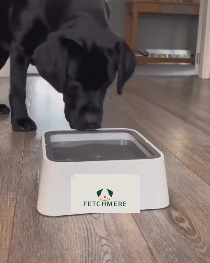 Fetchmere no-spill dog bowl demonstration