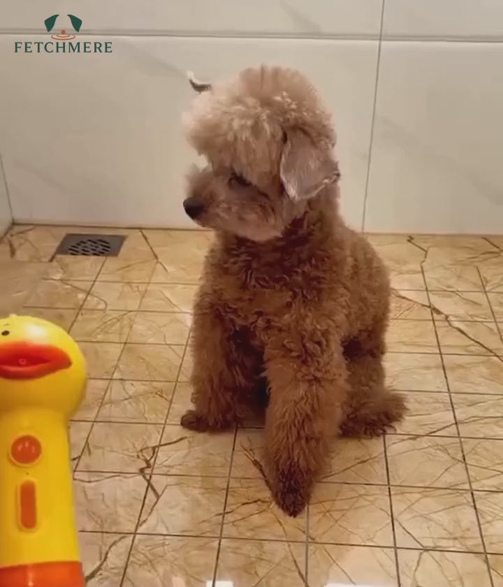 Fetchmere dog shampoo foam sprayer setup and demonstration