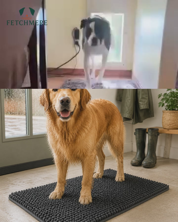 Fetchmere paw drying mat demonstrated at an entrance