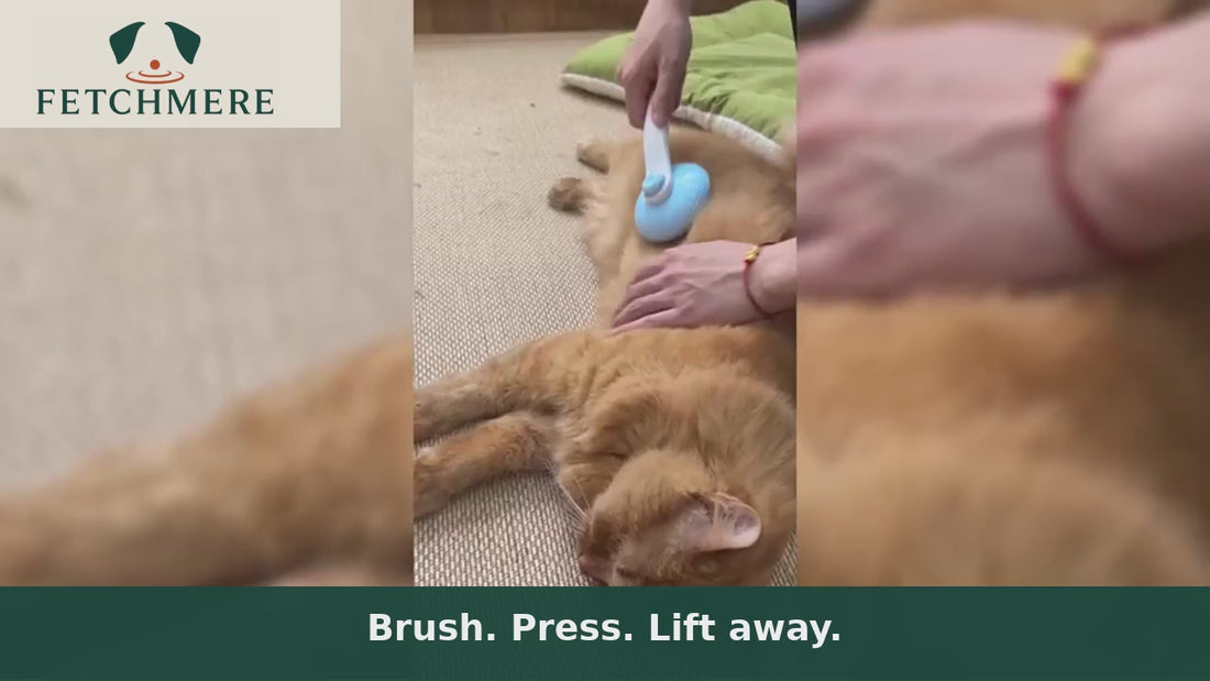 Fetchmere self-cleaning slicker brush grooming a pet coat